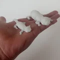 Rái cá khớp nối (Articulated Otter) - Thumbnail 8