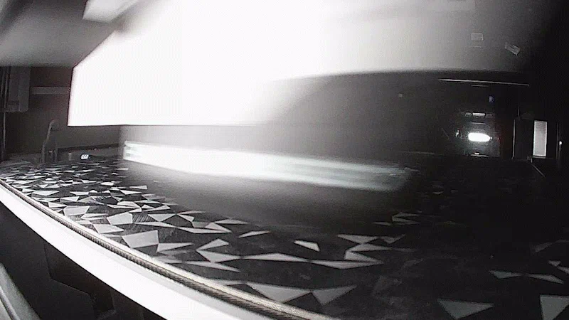 Hoa trên Lưng Báo Cheetah - Image 2