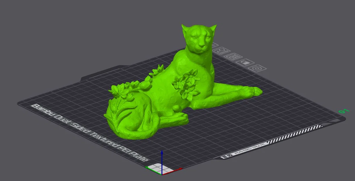 Hoa trên Lưng Báo Cheetah - Image 3