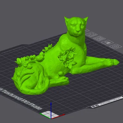 Hoa trên Lưng Báo Cheetah