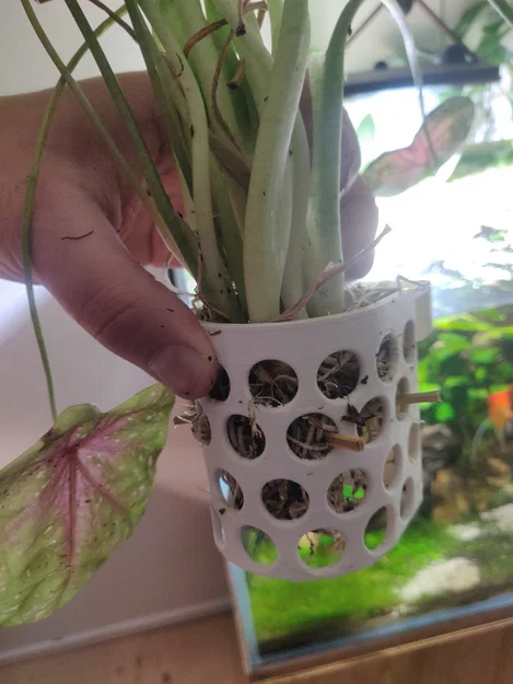 Móc treo cây trên mặt nước cho hồ cá (Aquarium surface plant hanger) - Image 1