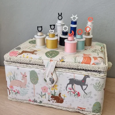 Giá giữ spool & bobbin để lưu trữ chỉ theo cặp đúng màu, tiện lợi