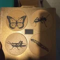 Bộ con dấu hình côn trùng và bướm 3D độc đáo - Thumbnail 1