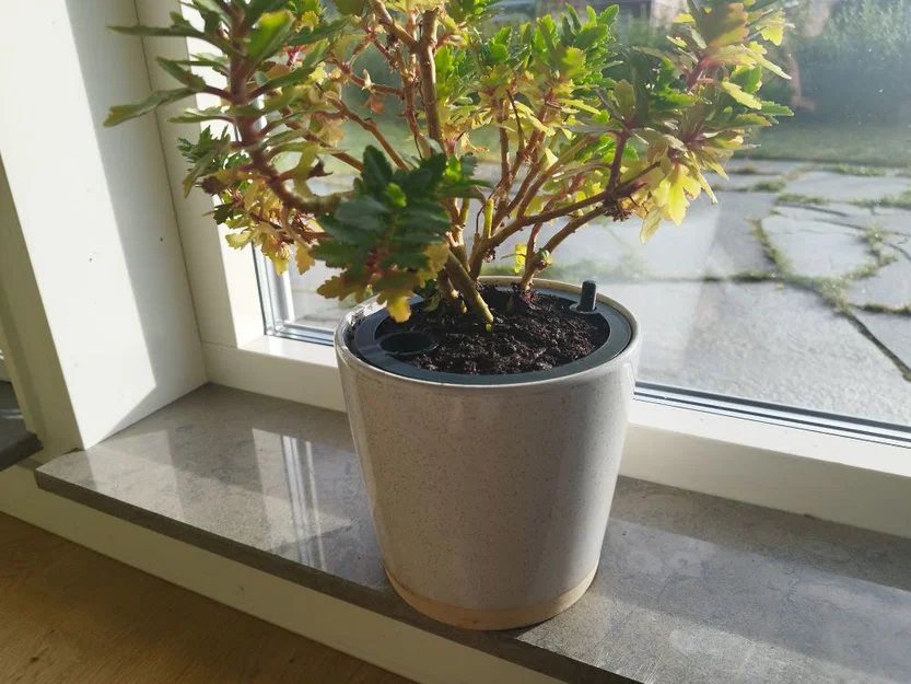 Chậu Tự Tưới Parametric (Self Watering Planter) Có Que Thăm Mực Nước - Image 1