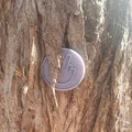 ZERO F*CKS COIN - Thumbnail 5