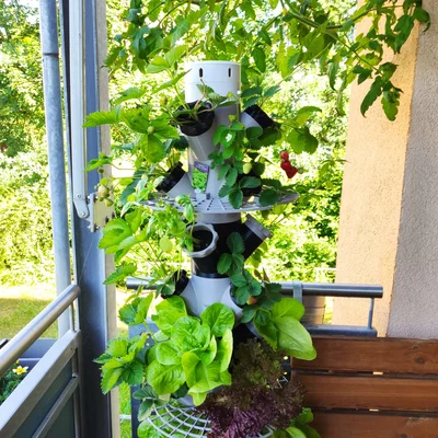 Tháp Dâu Ban Công dùng IKEA Persillade (Modular Hydroponic dạng module)