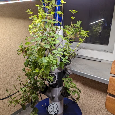 Tháp Dâu Ban Công dùng IKEA Persillade (Modular Hydroponic dạng module)