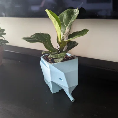 Chậu cây hình voi có vòi thoát nước (Elephant Plant Pot with Drainage Snout)