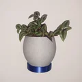 Chậu Treo Tường In 3D (3D Printed Wall Planter) - Thumbnail 1