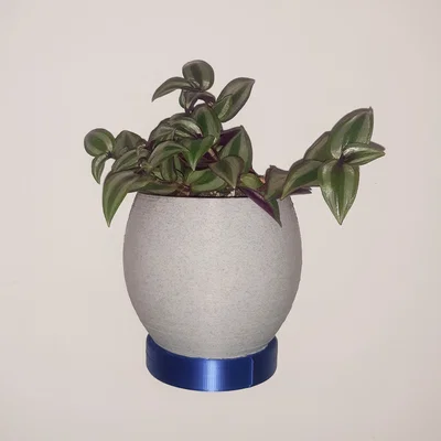 Chậu Treo Tường In 3D (3D Printed Wall Planter)