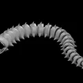 Purple Worm Articulated (Sâu Tím Khớp Nối) - Thumbnail 2