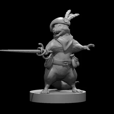 Gấu mèo Kiếm sĩ (Raccoon Swashbuckler)