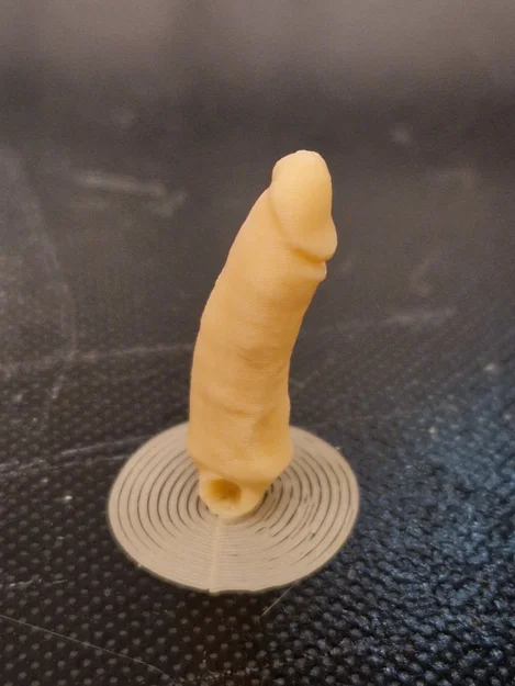 Móc khóa hình dương vật (Penis keyring) - Image 1