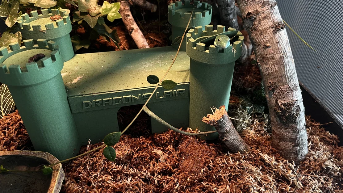 Mô hình lâu đài trú ẩn 3D cho bò sát - Castle Reptile Hide độc đáo - Image 1