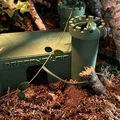 Mô hình lâu đài trú ẩn 3D cho bò sát - Castle Reptile Hide độc đáo - Thumbnail 1