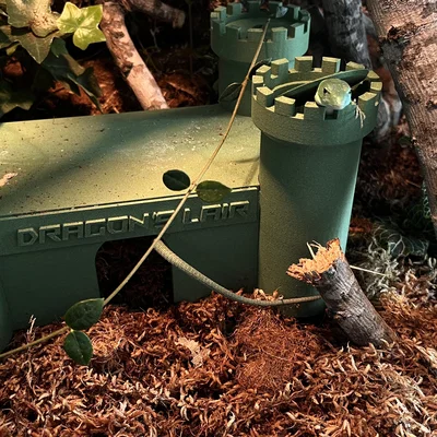 Mô hình lâu đài trú ẩn 3D cho bò sát - Castle Reptile Hide độc đáo