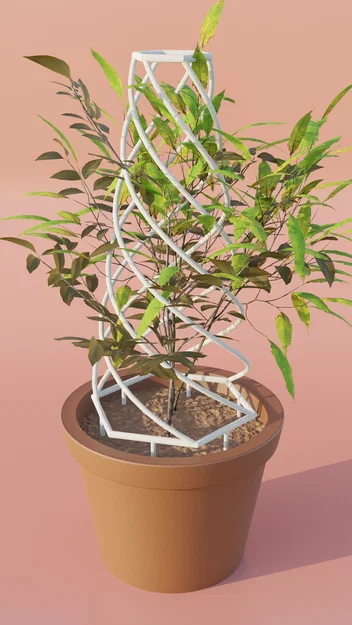 Khung Đỡ Cây Dạng Xoắn Ốc (Spiral Plant Support) In 3D - Image 3