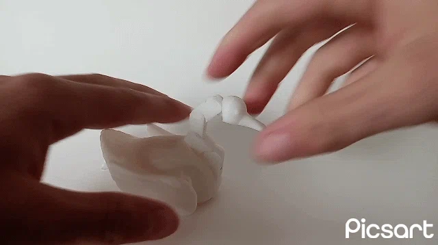 Ngỗng Khớp Nối (Articulated Goose) - Image 5