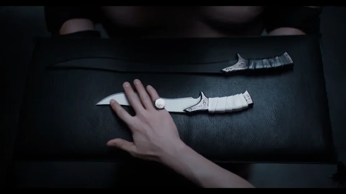 Dao của Feyd-Rautha Harkonnen trong Dune: Part 2 - Image 1