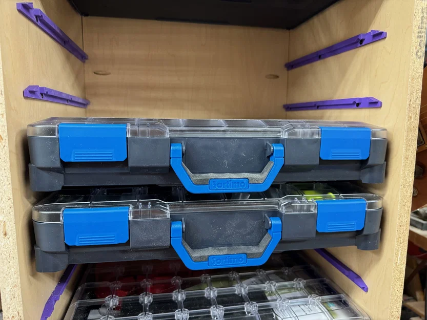 Rail gắn/đỡ Sortimo T-BOXX G cho tủ (Sortimo T-BOXX G Mounting Rails) - Image 1
