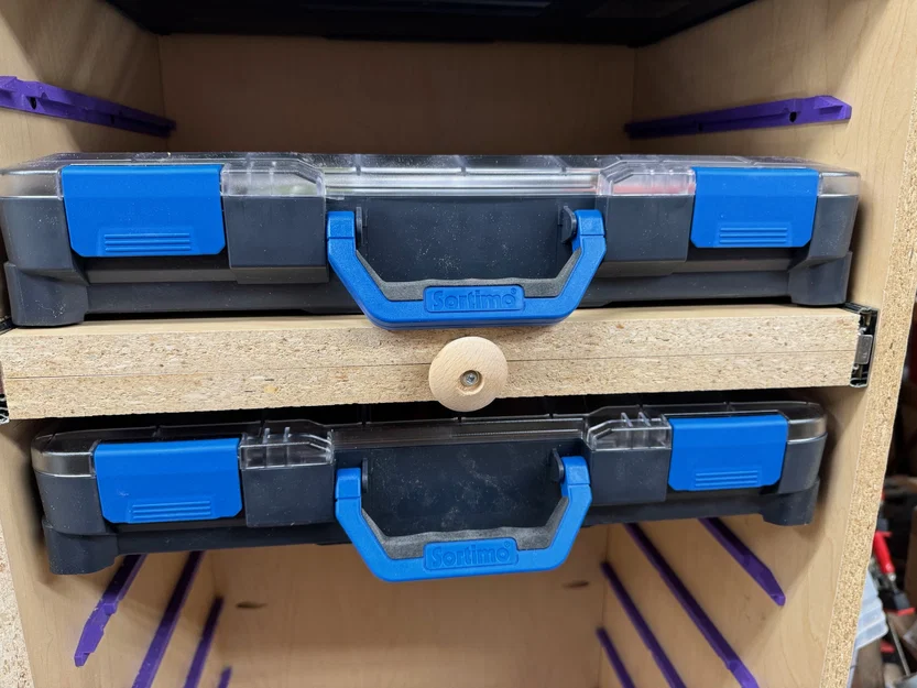 Rail gắn/đỡ Sortimo T-BOXX G cho tủ (Sortimo T-BOXX G Mounting Rails) - Image 3
