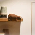 Gấu Buồn Ngủ Nằm Trên Kệ (Sleepy Bear on a Shelf) - Thumbnail 2