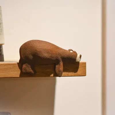 Gấu Buồn Ngủ Nằm Trên Kệ (Sleepy Bear on a Shelf)