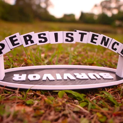 Puzzle Vòm “Survivor PERSISTENCE Arch Puzzle”