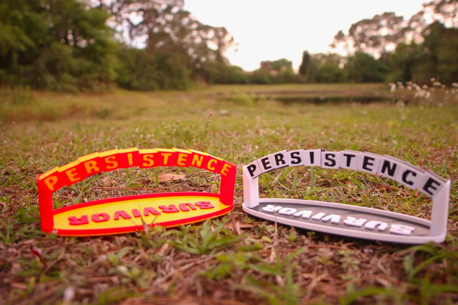 Puzzle Vòm “Survivor PERSISTENCE Arch Puzzle” - Image 2