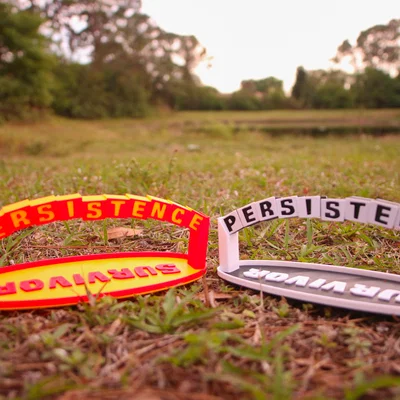 Puzzle Vòm “Survivor PERSISTENCE Arch Puzzle”