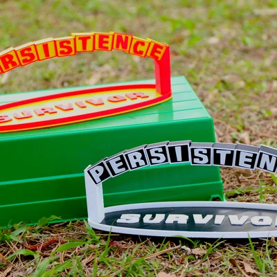 Puzzle Vòm “Survivor PERSISTENCE Arch Puzzle”