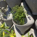 Chậu Water Drop Pot - Thumbnail 1