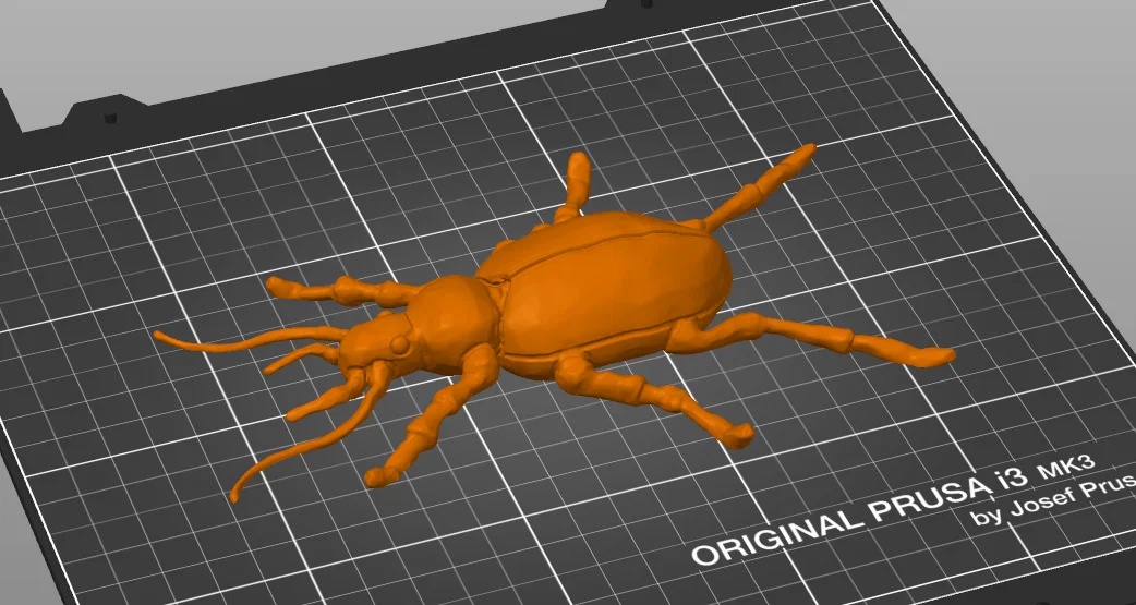Mô hình bọ cánh cứng xúc giác cho người khiếm thị in 3D - Image 2