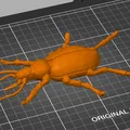 Mô hình bọ cánh cứng xúc giác cho người khiếm thị in 3D - Thumbnail 2