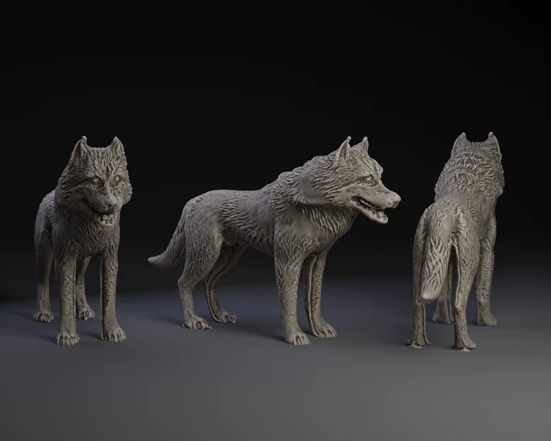 Mô hình Dire Wolf 3D in - Sói tuyết từ Game of Thrones cực chất - Image 1