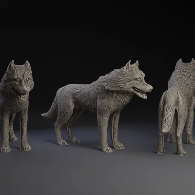 Mô hình Dire Wolf 3D in - Sói tuyết từ Game of Thrones cực chất