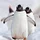 PenguinFeet