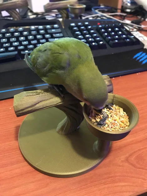 Giá đậu cho chim kèm khay thức ăn - Image 1