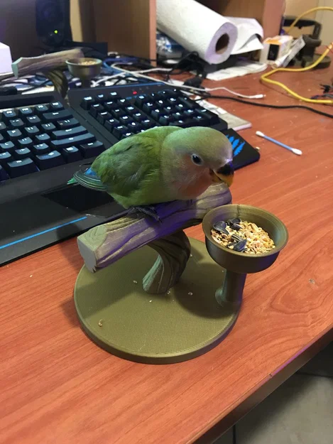 Giá đậu cho chim kèm khay thức ăn - Image 3