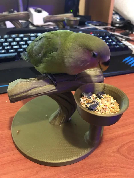 Giá đậu cho chim kèm khay thức ăn - Image 4