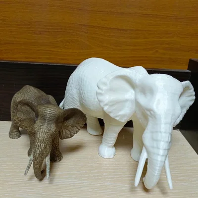 Tượng Voi (Elephant) Scan 3D