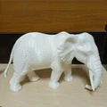 Tượng Voi (Elephant) Scan 3D - Thumbnail 3