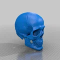 Mô hình hộp sọ người 3D chi tiết cao - Dễ dàng in và lắp ráp - Thumbnail 5