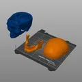 Mô hình hộp sọ người 3D chi tiết cao - Dễ dàng in và lắp ráp - Thumbnail 16