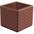 Chậu trồng cây cảnh 3D dáng vuông trang trí bàn làm việc - Thumbnail 4