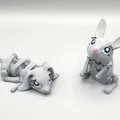 Thỏ May Mắn Dễ Thương – Flexi Fidgets - Thumbnail 1