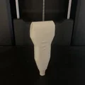 Mô hình đầu dò siêu âm 3D dành cho giáo dục và vui chơi - Thumbnail 1