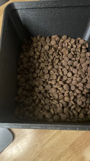 Khay cho mèo ăn (Cat feeder) in 3D - Image 4