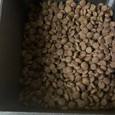 Khay cho mèo ăn (Cat feeder) in 3D