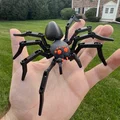 Articulated Spider (Nhện khớp nối) - Thumbnail 1